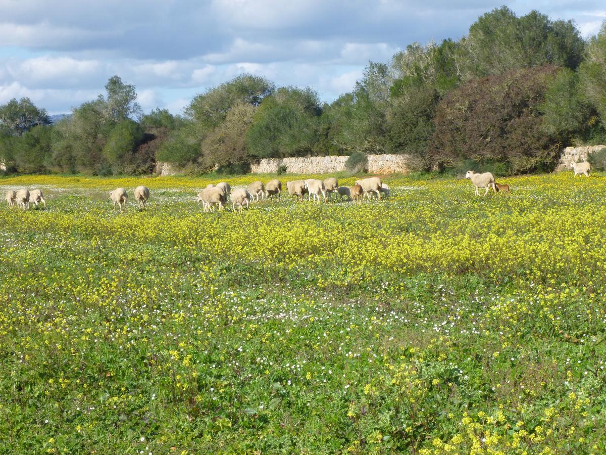 Agroturisme Son Llado Campos  Exterior foto